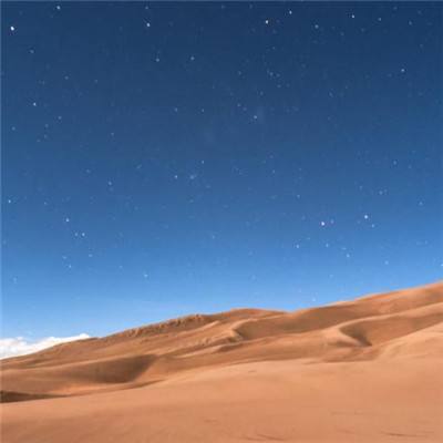 山海经手游猫耳版