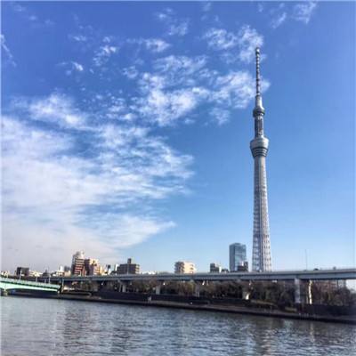 强者竟是你游戏下载
